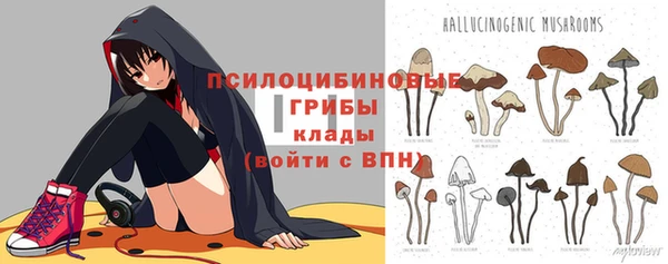 твердый Каменногорск