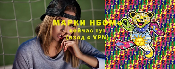 винт Каменка
