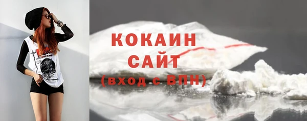 винт Каменка
