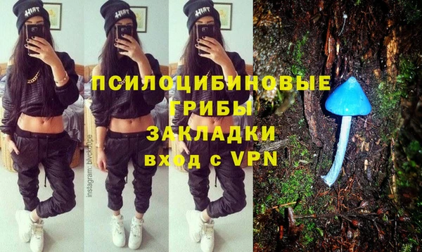 винт Каменка