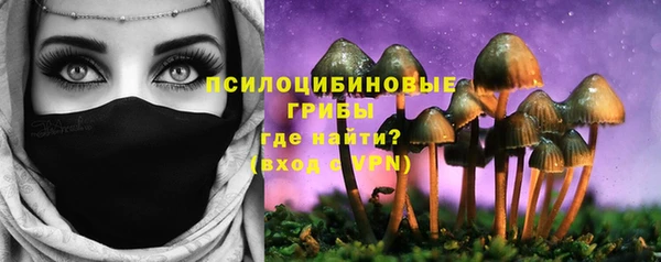 винт Каменка