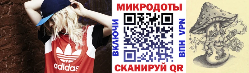 Галлюциногенные грибы Cubensis Купить закладки Волоколамск